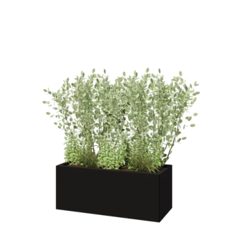 Stalen plantenbak - Rechthoek - 100 x 40 x 40 cm - RAL9005 mat (zwart) - Zonder bodemplaat