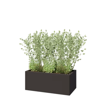 Stalen plantenbak - Rechthoek - 100 x 50 x 40 cm - RAL7016 mat (antraciet grijs) - Zonder bodemplaat