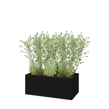 Stalen plantenbak - Rechthoek - 100 x 50 x 40 cm - RAL9005 mat (zwart) - Met bodemplaat