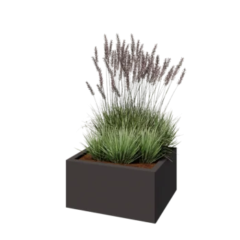 Stalen plantenbak - Rechthoek - 60 x 50 x 30 cm - RAL7016 mat (antraciet grijs) - Met bodemplaat