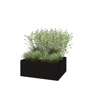 Stalen plantenbak - Rechthoek - 100 x 80 x 40 cm - RAL9005 mat (zwart) - Zonder bodemplaat