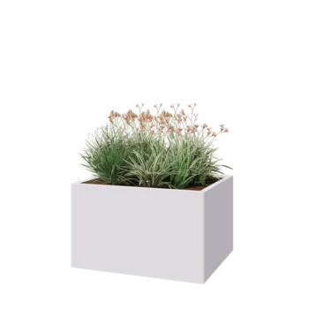 Stalen plantenbak - Rechthoek - 100 x 80 x 60 cm - RAL9010 mat (wit) - Zonder bodemplaat