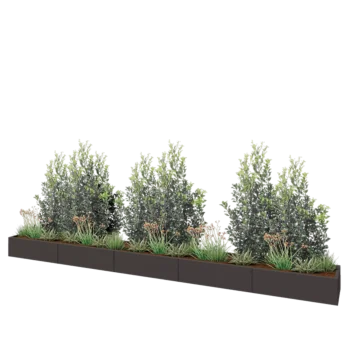 Stalen plantenbak XXL - Rechthoek - 500 x 50 x 30 cm - RAL7016 mat (antraciet grijs) - Zonder bodemplaat