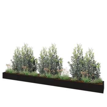 Stalen plantenbak XXL - Rechthoek - 500 x 50 x 30 cm - RAL9005 mat (zwart) - Zonder bodemplaat
