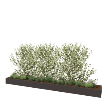 Stalen plantenbak XXL - Rechthoek - 500 x 60 x 30 cm - Andere RAL kleur - Met bodemplaat