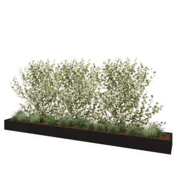 Stalen plantenbak XXL - Rechthoek - 500 x 60 x 30 cm - RAL9005 mat (zwart) - Zonder bodemplaat