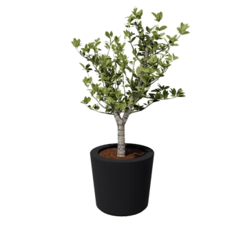 Polyester plantenbak - Conisch - Ø 63 x 52 cm - RAL7021 mat (zwartgrijs) - Met bodem